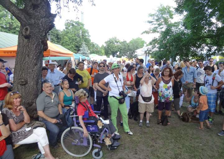 fb_sommerfest2014_1123.jpg