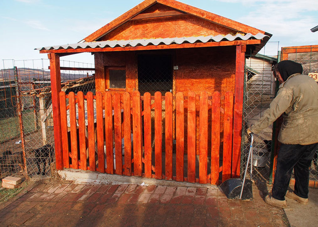 Der-isolierte-Schuppen-mit-Vordach-und-Terrasse.jpg