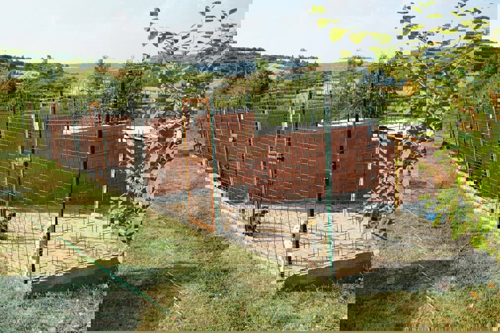 Svilos Mauer Skaliert Min