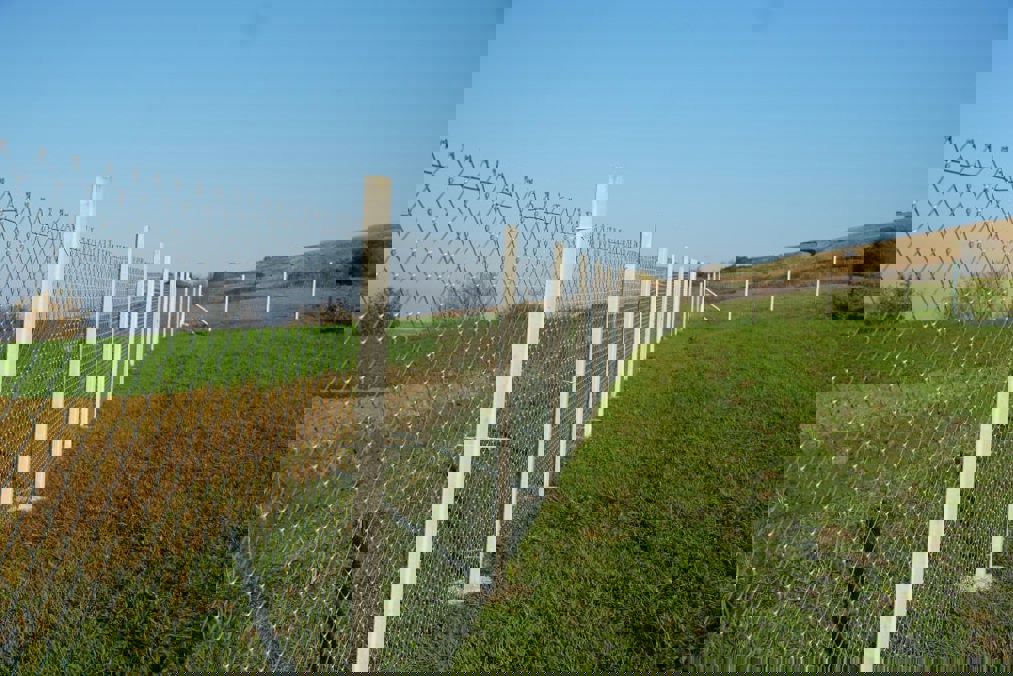 Svilos Zaun Skaliert Min