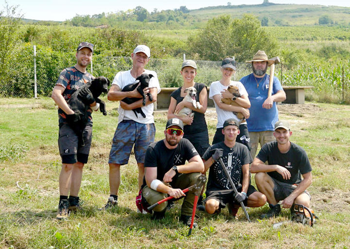 Abbauprojekt Teil Des Mittleren Tierheimbereichs